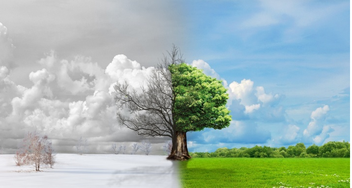 1733360598166091.png 16384277216498.png