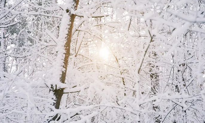 1733364056203696.png 16385095271483.png