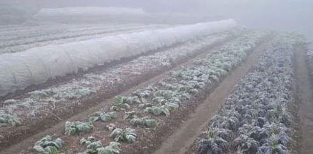 1733364791671110.png 16385185561217.png