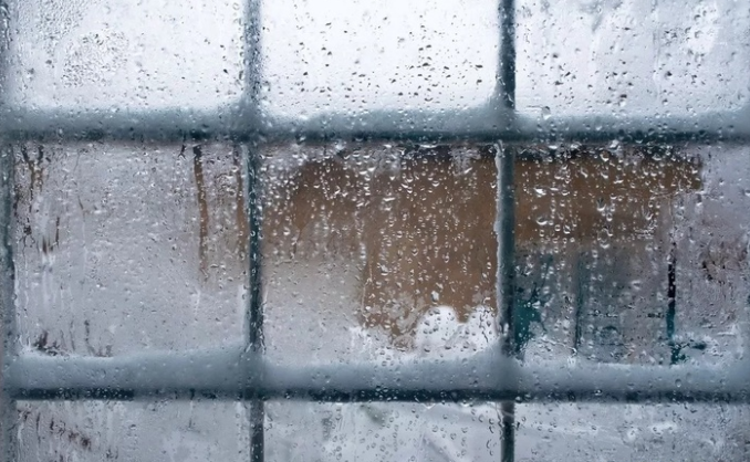 1733366464141100.png 16386896809385.png