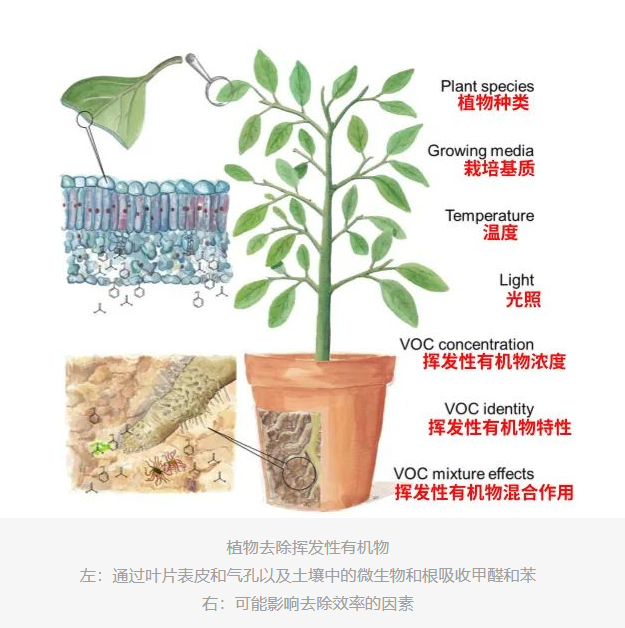 1733366710586058.png 16386901544478.png