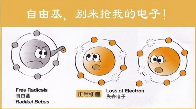 1733369367180150.png 16387697277645.png