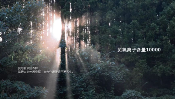 1733370277195954.png 16387747905680.png