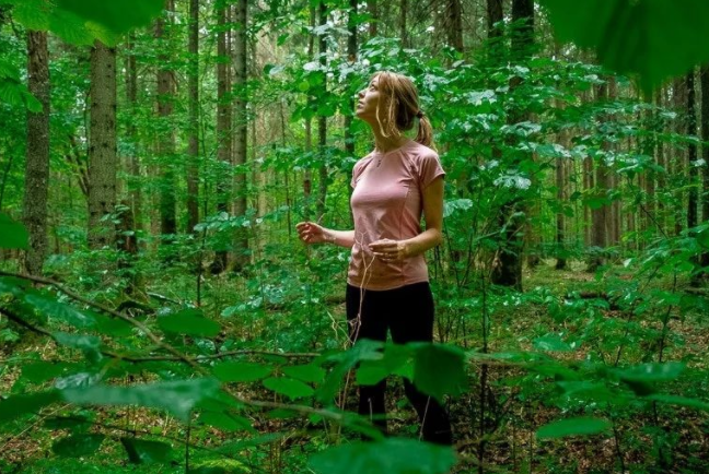 1733370292442352.png 16387748109454.png