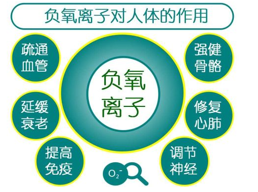 1733370301220333.png 16387747074816.png