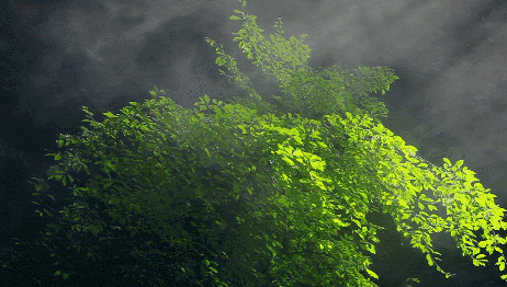 1733370309114150.png 16387747233662.png