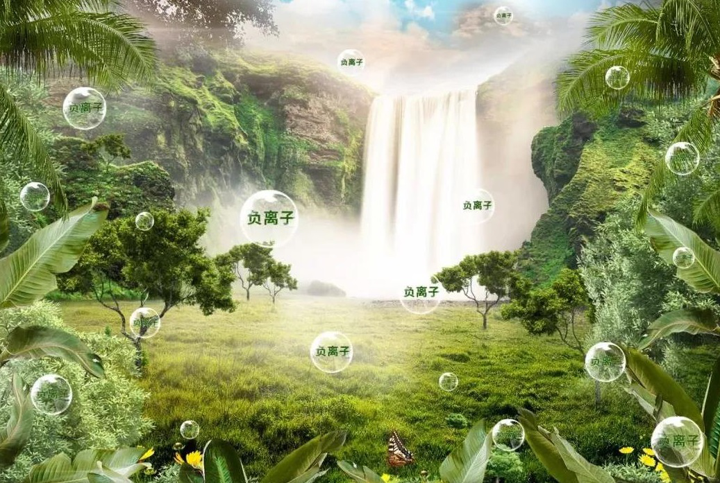 1733385955407400.png 0Sqhdc02DV.png